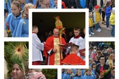 Niedziela Palmowa 2019r.