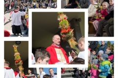 Niedziela Palmowa 25-III-2018r.